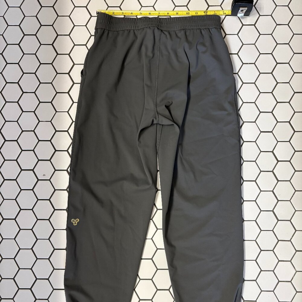 Aritzia Golden Navigate Jogger Small Grey